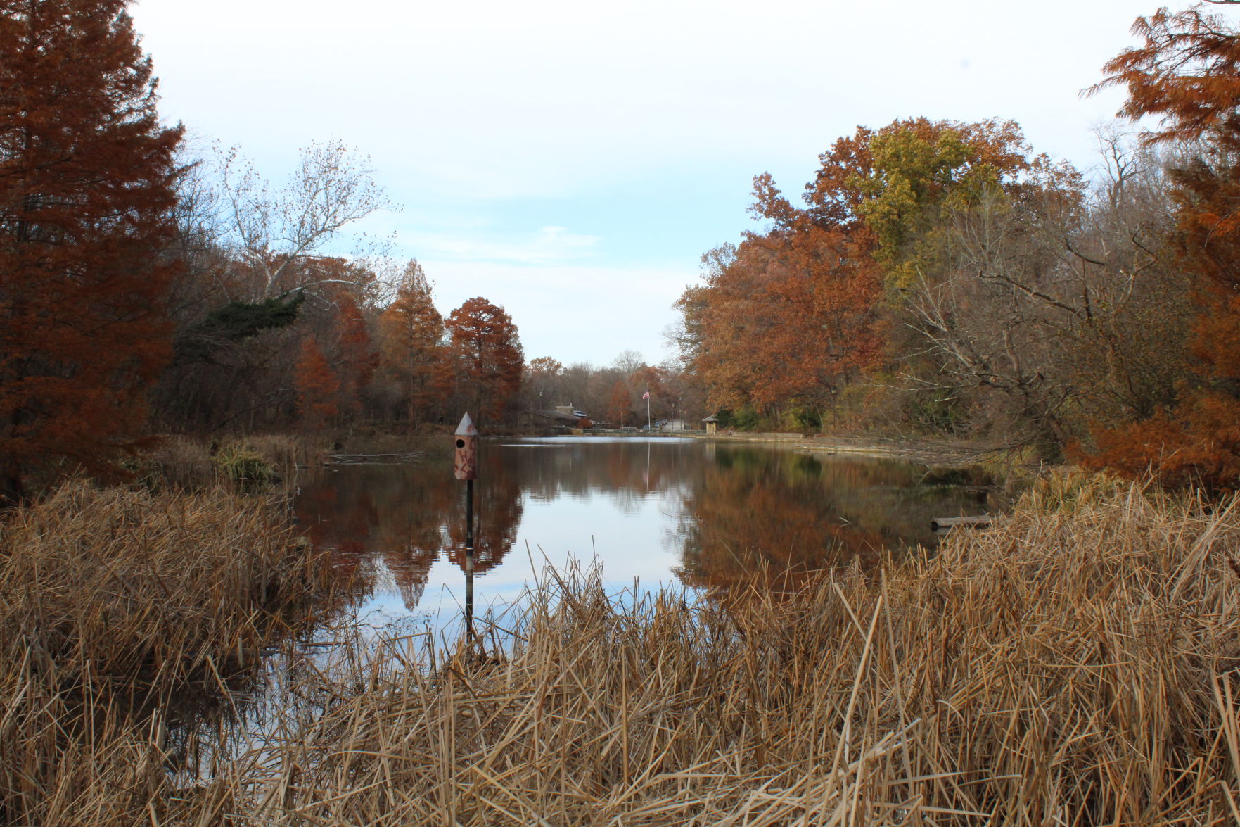 Burnet Woods